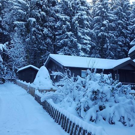 Waldsee-Ferienhaus-Mit-Kamin-W-Lan Clausthal-Zellerfeld Zewnętrze zdjęcie