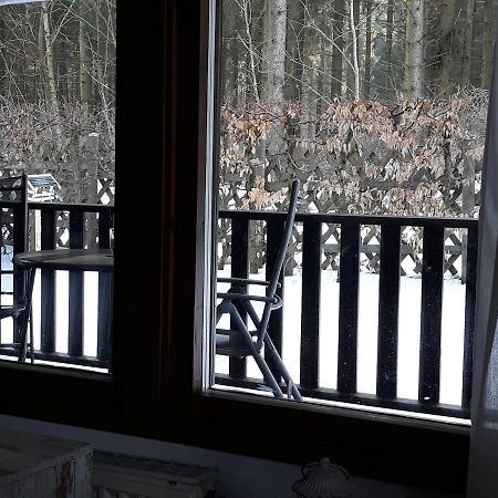 Waldsee-Ferienhaus-Mit-Kamin-W-Lan Clausthal-Zellerfeld Zewnętrze zdjęcie