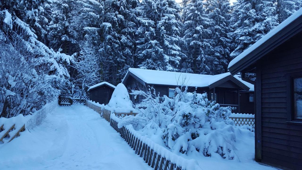 Waldsee-Ferienhaus-Mit-Kamin-W-Lan Clausthal-Zellerfeld Zewnętrze zdjęcie