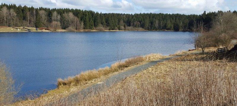 Waldsee-Ferienhaus-Mit-Kamin-W-Lan Clausthal-Zellerfeld Zewnętrze zdjęcie