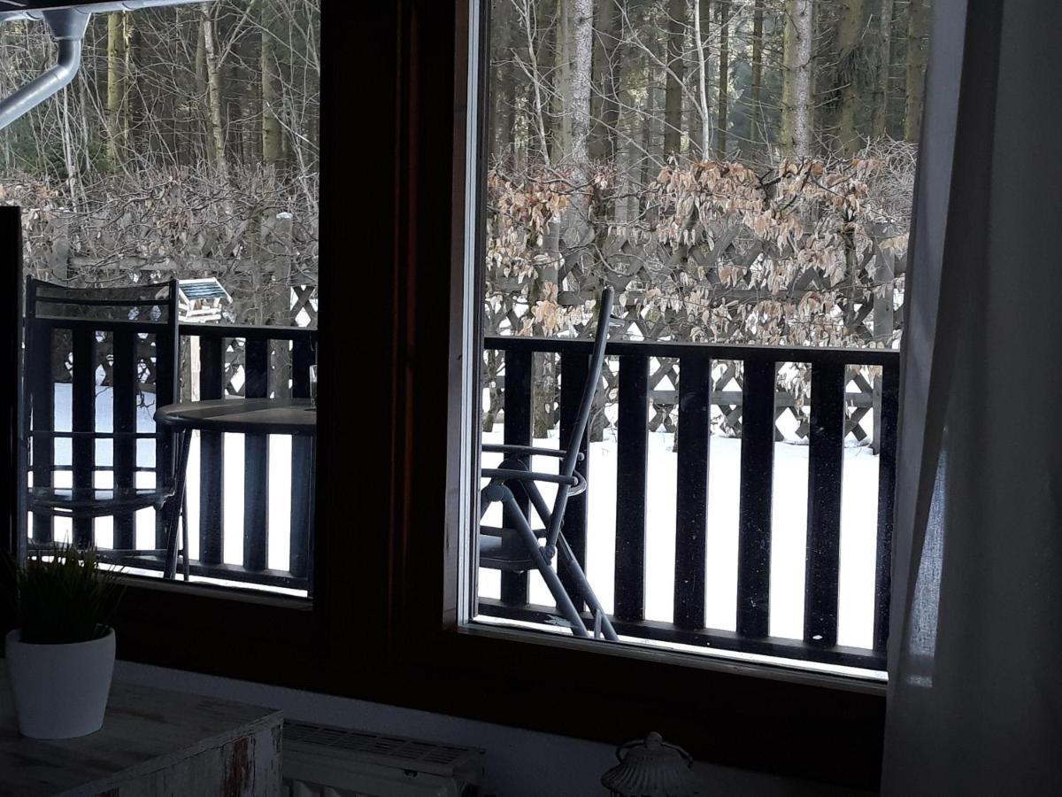 Waldsee-Ferienhaus-Mit-Kamin-W-Lan Clausthal-Zellerfeld Zewnętrze zdjęcie